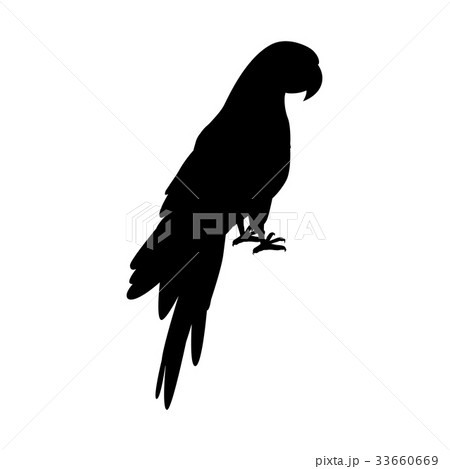 Ara Parrot Flat Design Vector Illustration 33660669
