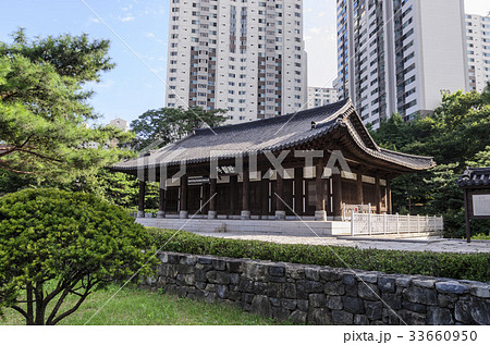 西大門区 韓国 木 33660950