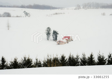 美瑛・冬 33661255