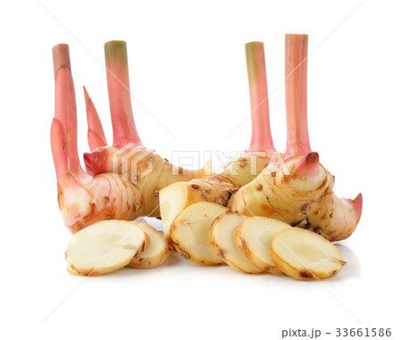 Fresh galangal isolated on white background. 33661586