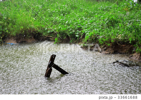 Rain drop in water with vintage wooden in canal. Rain drop in water with vintage wooden in canal. 33661688