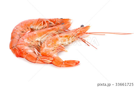shrimps on a white background 33661725