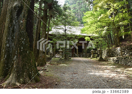 遠州秋葉山神社上社　神門 33662389
