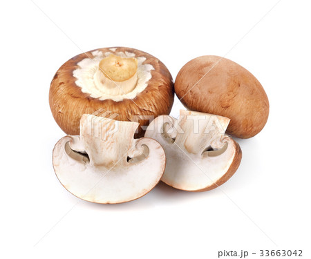 champignon mushrooms isolated on white champignon mushrooms isolated on white 33663042