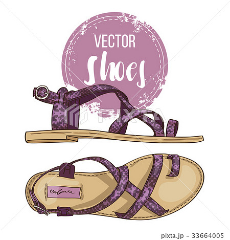 Fashion vector sketch womens shoes. 33664005