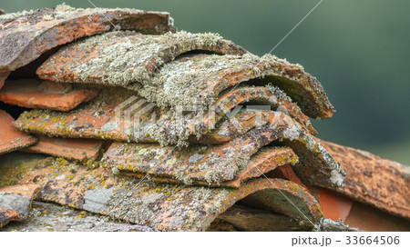 Old tile roof with lichen Old tile roof with lichen 33664506