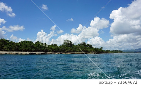 tropical coast tropical coast 33664672