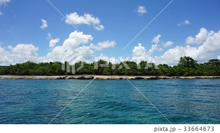 tropical coast tropical coast 33664673