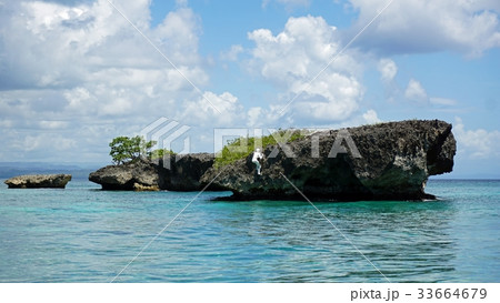 tropical coast 33664679