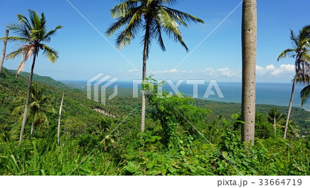 samana viewpoint 33664719