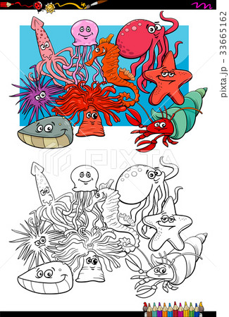 sea life animal characters coloring book 33665162