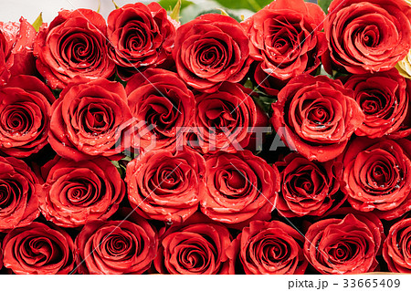 Bouquet Of Beautiful Red Roses With Drops Of Water 33665409