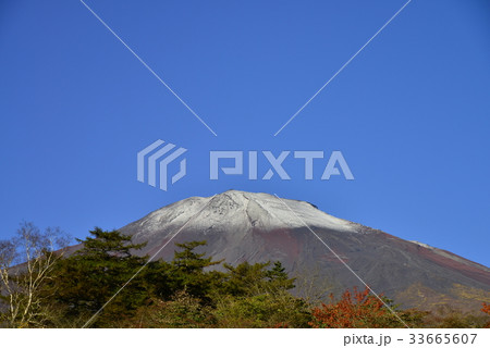 【静岡県】初冠雪の朝、朝日を受ける富士山 33665607