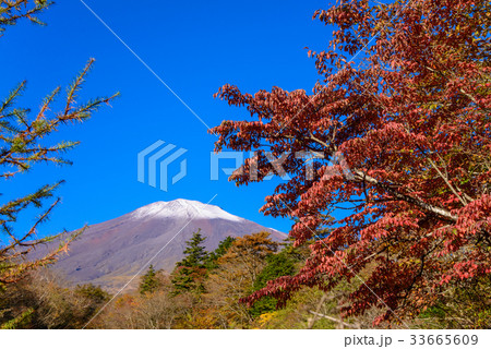 【静岡県】初冠雪の朝、朝日を受ける富士山 33665609