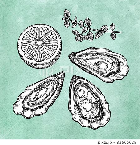 Oysters with lemon and thyme. 33665628