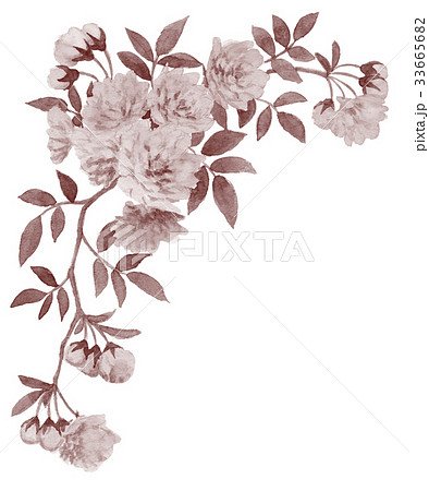 バラの上部フレーム素材セピアのイラスト素材