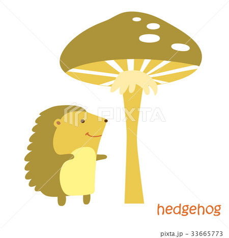 animals set - hedgehog 33665773
