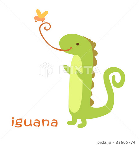 animals set - iguana 33665774