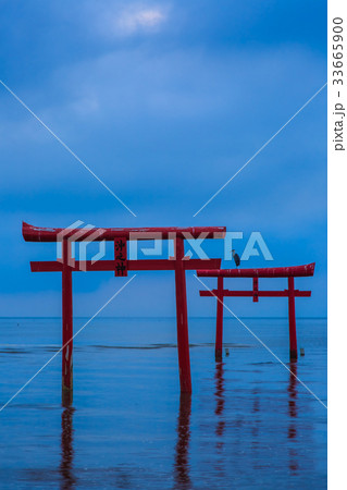 海中鳥居の夜明け 佐賀県 太良町 海中鳥居の夜明け 佐賀県 太良町 33665900