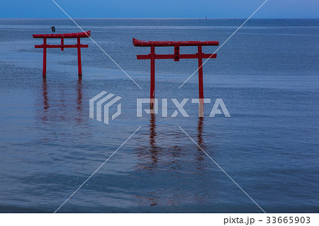 海中鳥居の夜明け 佐賀県 太良町 海中鳥居の夜明け 佐賀県 太良町 33665903