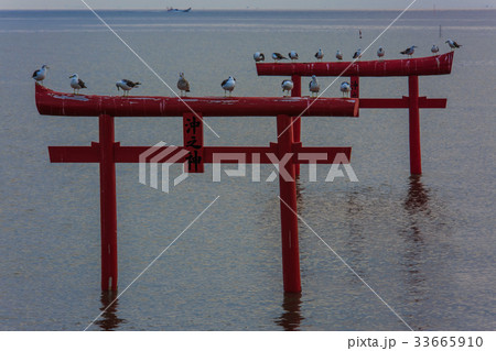 海中鳥居の夜明け 佐賀県 太良町 海中鳥居の夜明け 佐賀県 太良町 33665910
