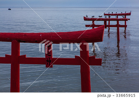 海中鳥居の夜明け 佐賀県 太良町 海中鳥居の夜明け 佐賀県 太良町 33665915