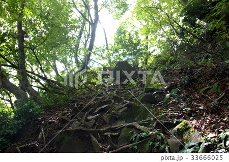 氷ノ山 登山道 氷ノ山 登山道 33666025