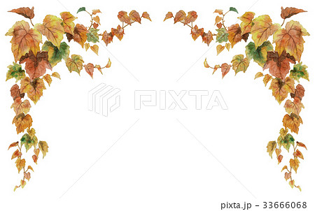 紅葉ツタの上部フレーム素材 33666068
