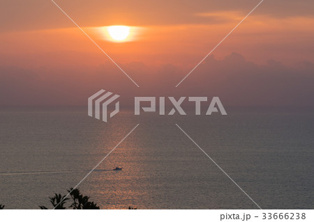 日向岬朝陽 日向岬朝陽 33666238