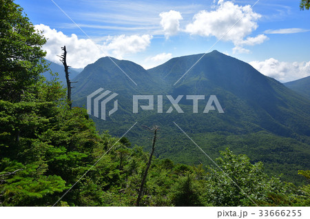 太郎山から見る夏の男体山と大真名子山 33666255