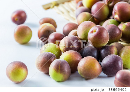 小梅　小粒の青梅 33666492