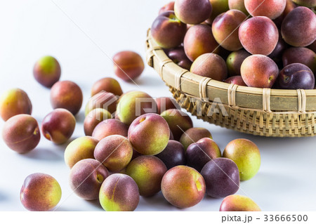 小梅 小粒の青梅 小梅 小粒の青梅 33666500