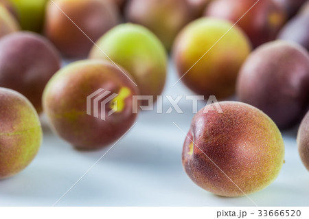 小梅　小粒の青梅 33666520