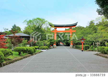 宇佐神宮の大鳥居（大分県） 33666739