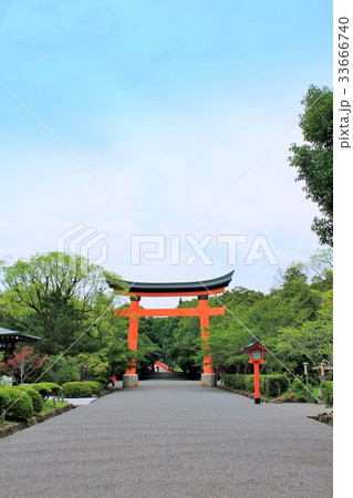宇佐神宮の大鳥居(大分県) 宇佐神宮の大鳥居(大分県) 33666740