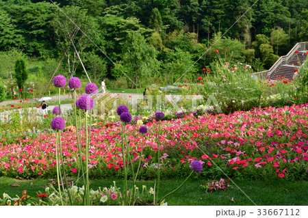全国都市緑化よこはまフェア・里山ガーデン会場 33667112