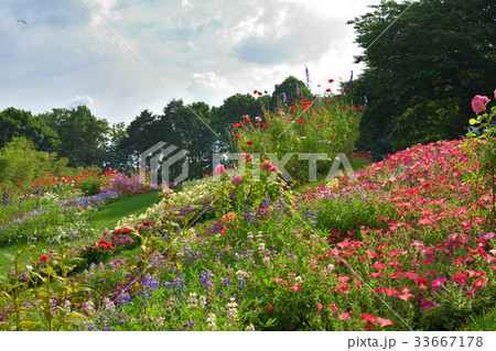 全国都市緑化よこはまフェア・里山ガーデン会場 33667178