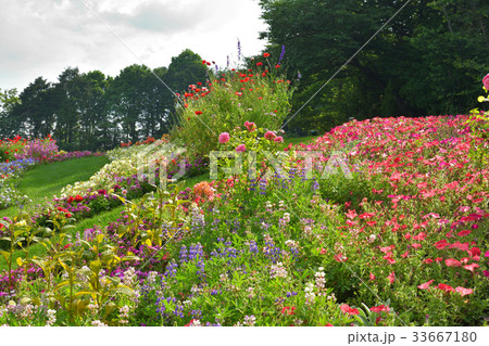 全国都市緑化よこはまフェア・里山ガーデン会場 全国都市緑化よこはまフェア・里山ガーデン会場 33667180