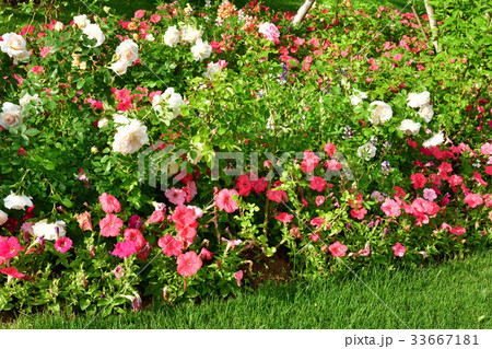 全国都市緑化よこはまフェア・里山ガーデン会場 33667181