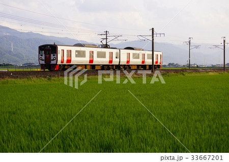 夕日を浴びて、い草畑を北上する815系近郊電車　鹿児島本線　有佐～千丁 33667201