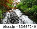 夏の滝 33667249