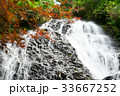 夏の滝 33667252