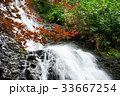夏の滝 33667254