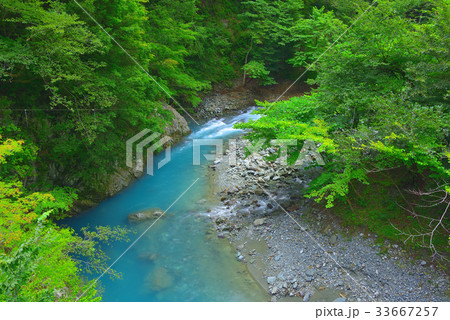 丹沢 神之川の清流 丹沢 神之川の清流 33667257