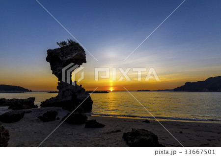 かきどまり海浜公園 傘岩 かきどまり海浜公園 傘岩 33667501