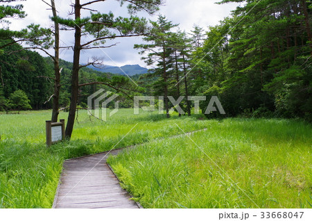 黒沢湿原 黒沢湿原 33668047