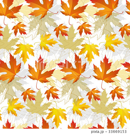 Maple leaf autumn patterns seamless 33669153