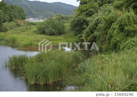 田舎の風景　写真素材 33669290
