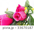 Pink rose flower, leafs of bouquet 33670187