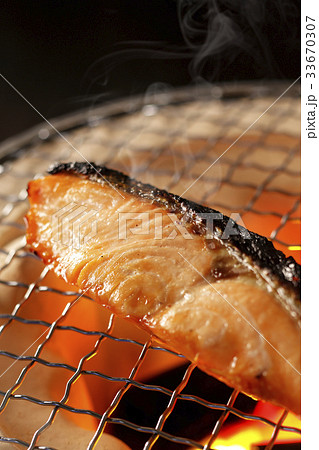 焼き鮭 33670307